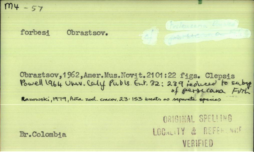 front of card